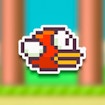Kızgın flappy